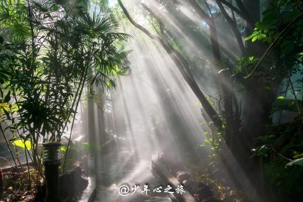 逃离黑砖房间