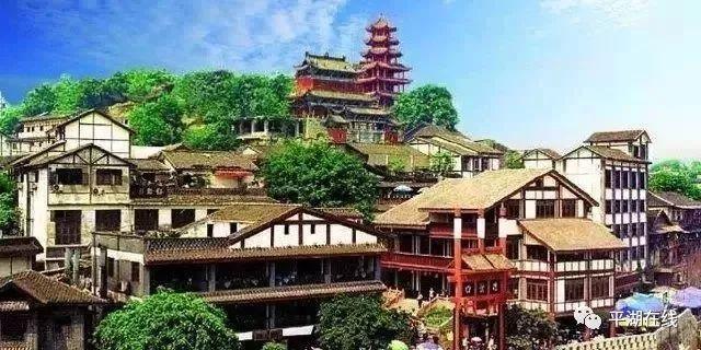 逃离野鸡森林
